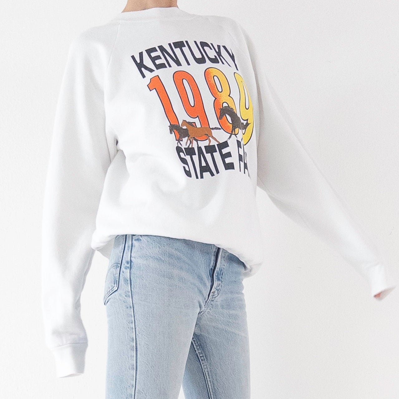 Gr. L Fruit of the Loom Sweater Crewneck 80s Vintage Made in USA